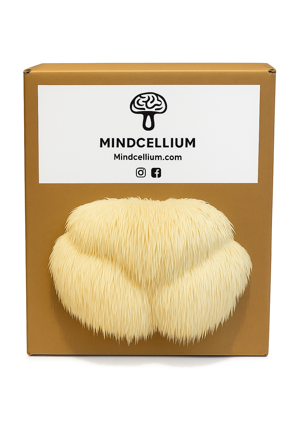 LionsMane Mushroom Grow Kit