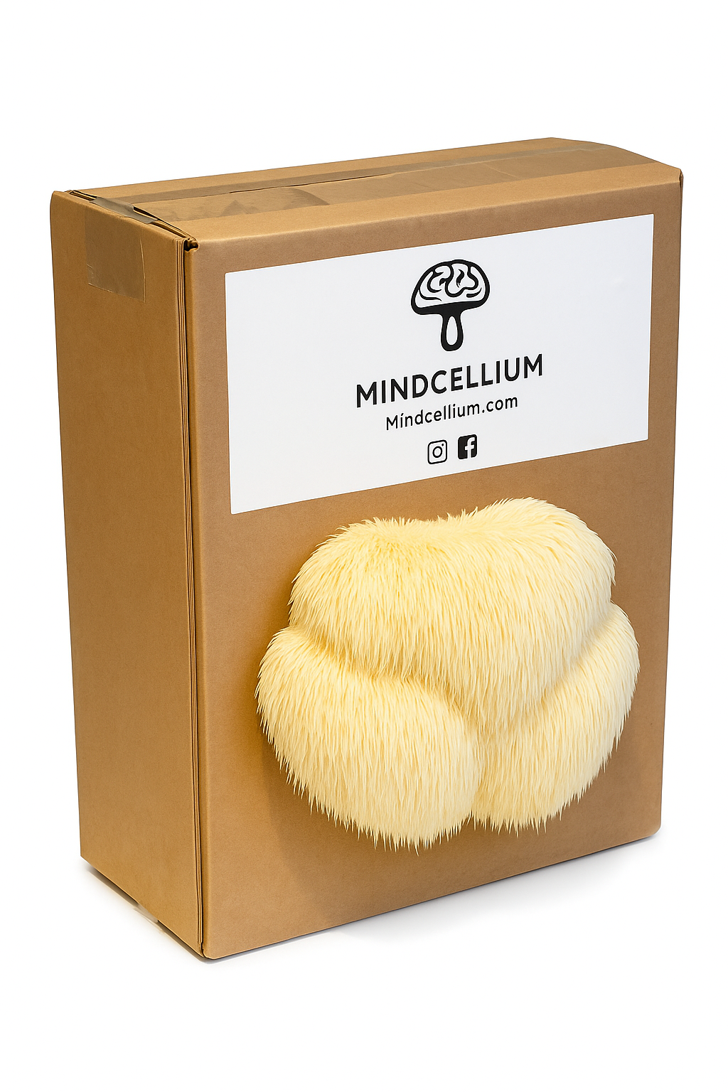 LionsMane Mushroom Grow Kit